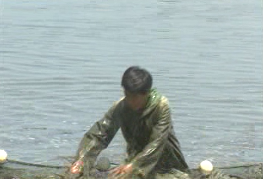 课程内容