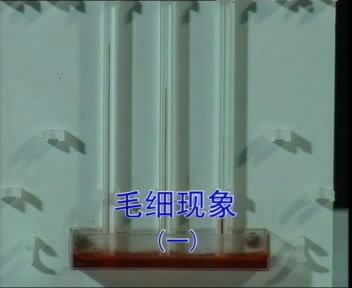 课程内容