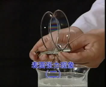 课程内容