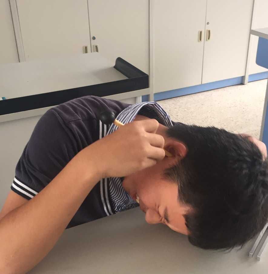 课程内容