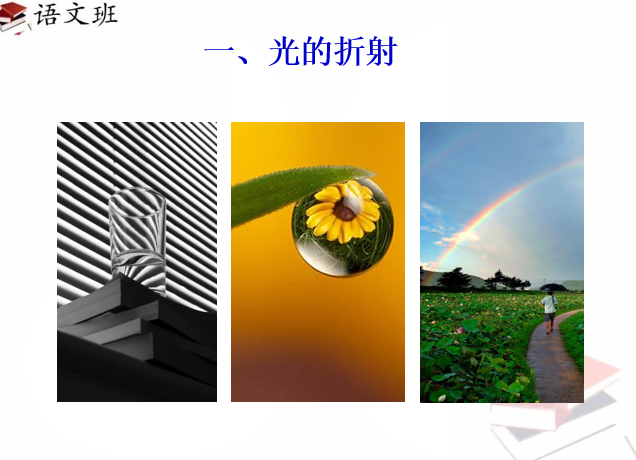 课程内容